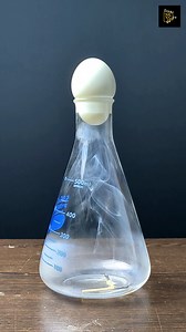 Experiment Failed!!! #trickstogo #science #experiment #reelsfb | Tricks To Go