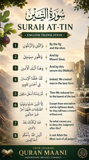 Surah At-Tin with English Translation | Beautiful Quran Recitation | Learn the Meaning 🍃