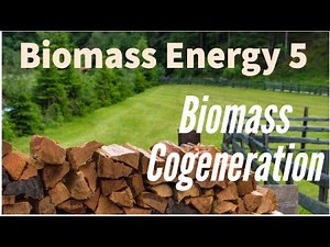 Biomass energy 5: Biomass Cogeneration