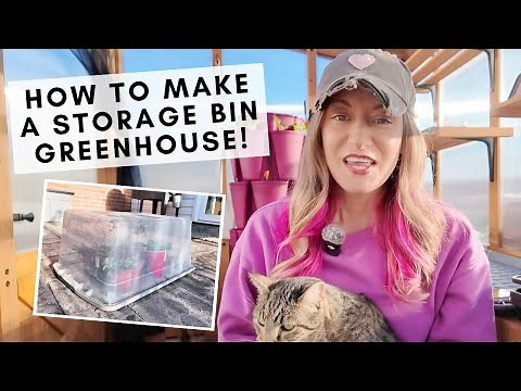 How to make a storage bin greenhouse as a cheap solution for seed starting