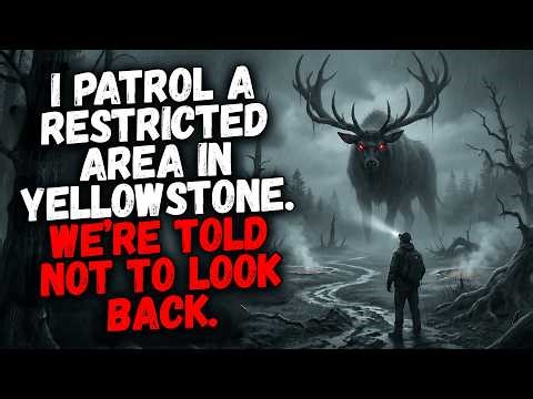 I Patrol a Restricted Area in Yellowstone, We’re Told Not to Look Back.