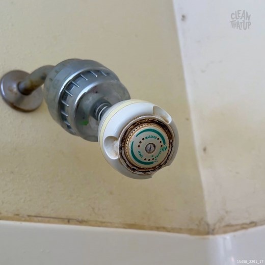SUPER Simple Way to CLEAN Your Shower Head | Clean That Up