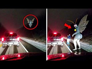 ¡Cosas que los Humanos Nunca Estaban Destinados a Ver! Parte 2