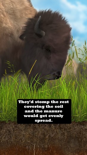 465K views · 12K reactions | P​​eter Byck helped to lead a $10...