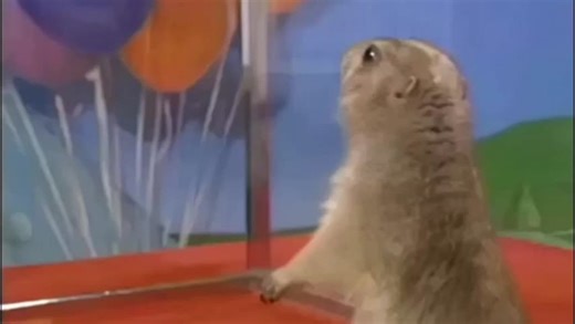 Dramatic Chipmunk: A Daily Meme Experience