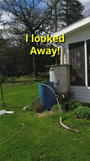 DIY Rain Collection Test 🌧️ …Wait for It 👀