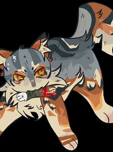 $5 commission chibi Toyhouse guide!! how to get started!! I might make more of these because I genuenly want others not to struggle when first getting toyhouse :3 #toyhousecode #toyhouse #warriorcats #warriorcatsoc #commission
