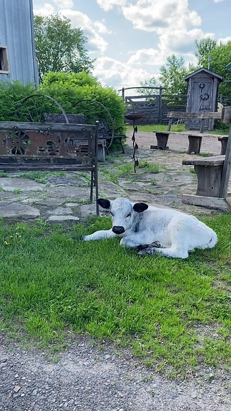 Sunny spring afternoon ☀️