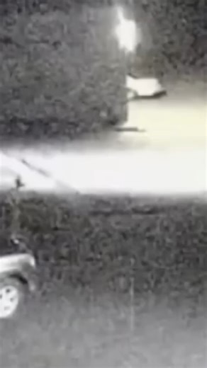 3.6K views · 49 reactions | The Case of Skylar Neese | That Chapter | Facebook