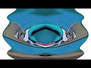 Animaniacs Extended Intro In G Major 312