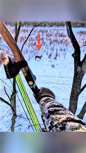 Tiro Perfeito na Caça ao Veado com Arco 🏹#caça #caçaaoveado #arcoeflecha #caca
