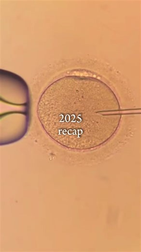 a little bit of 2025 at the lab to end the year ✨ #fyp #recap #2025recap #ivf #icsi