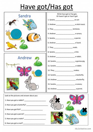 Animal have got/has got