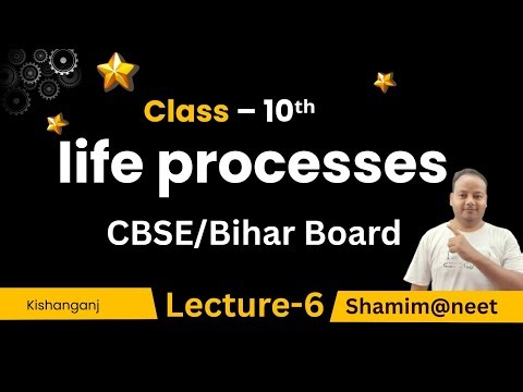 Life Processes Class 10 | Full Chapter Explained in One Shot 🔥 | NCERT Biology | Shamim Sir