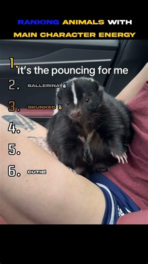 Ranking Animals That Have Main Character Energy 🐾🔥