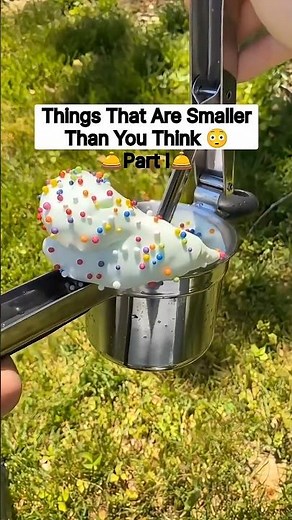 Things That Are Smaller Than You Think 😳✨
