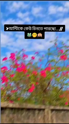 alex Star (@alex.star67)’s videos with original sound - alex Star