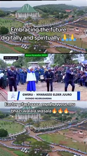 Celebrating Zim Comedy on TikTok
