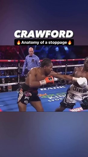 8.5K views · 115 reactions | Murphy's Boxing Gym on Reels | Facebook