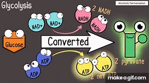 Fermentation on Make a GIF