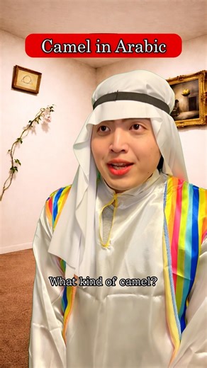 How do you say “camel” in Arabic? #skit #comeddy #English #Japan #Arabbic