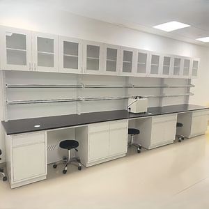 [Hot Item] High Quality Laboratory Furniture Table Steel Cabinet