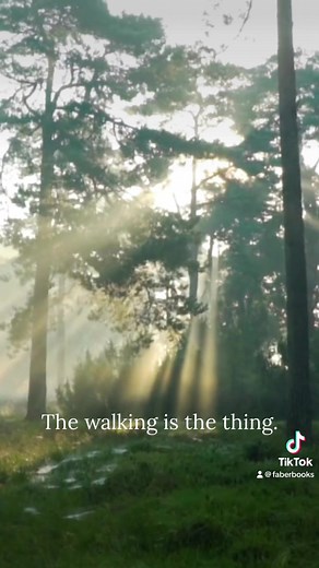 Enchantment: Reawakening Wonder in an Exhausted Age by Katherine May