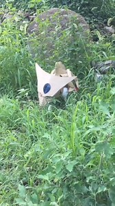 122K views · 5.3K reactions | When Cell Reach Earth... #dragonball #dragonballz #cell #cosplay #android17 #android18 #trunks | Gunpla Shop Online | Facebook