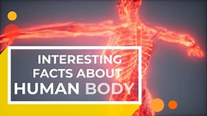 Amazing facts About The Human Body