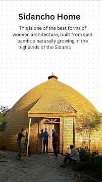 Ethiopia’s Sidama Architecture Explained in 30 Seconds! 🛖🇪🇹