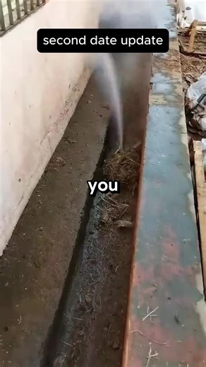 Second Date Update part2#trenting #dateupdate #brookeandjubal #phonecase #fypシ