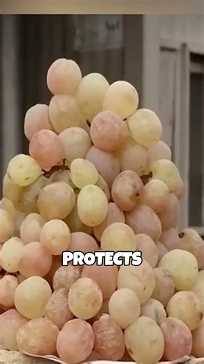 How to Store Grapes for 6 Months 🍇