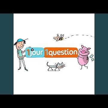 1 Jour 1 Question (Générique TV) (Version Instrumentale)