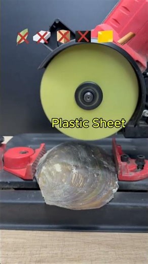 Which one can cut clam shell?