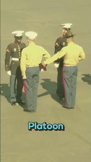 “USMC Graduation Day: New Marines Step Into the Fleet” #marines #army #navy #usmc #bootcamp #shots