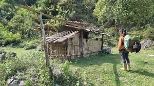 522K views · 9.3K reactions | I TURNED A DILAPIDATED BAMBOO HOUSE...