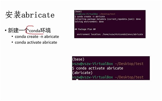 生信软件：abricate（耐药性分析）