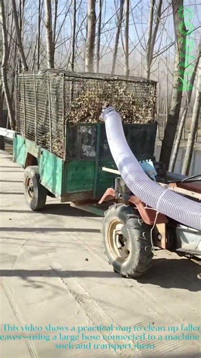 Leaf Collection Hack: Using a Hose to Vacuum Leaves Into a Cart
