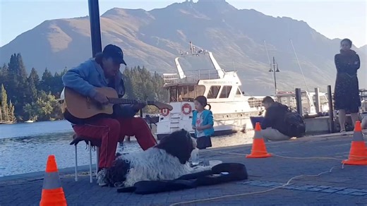 노래잘하는 애기 #dog #newzealand #trevel #2018