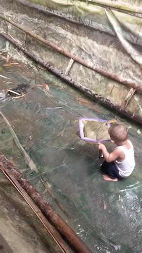 Cleanliness in catfish breeding must be taken into account. Make sure the bucket used to filter the catfish is clean and sterile. #catfish #FishFarming | Babinsa Budidaya