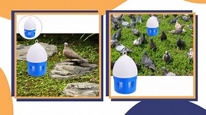 Watch Birds Water Feeder Practical Birds Waterer Creative Bird on Amazon Live