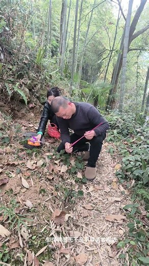 Short entertaining videos every day for you #45