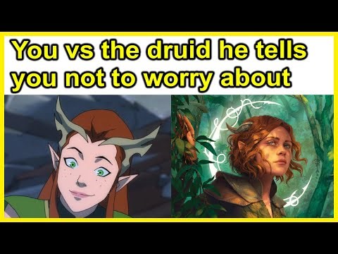 The other druid | r/DnDMemes [#237]