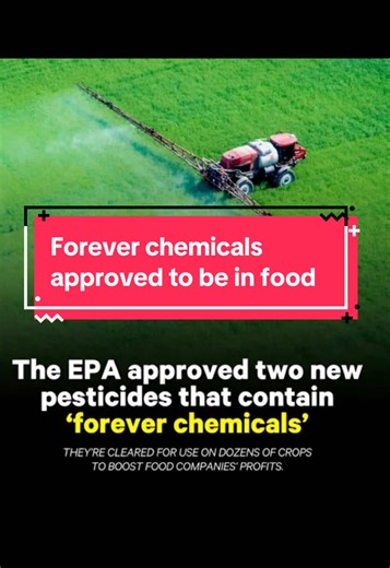 The epa has just approved two new FOREVER CHEMICALS to be used as pesticides. I’m so sick of this world the way humans and animals are treated #foreverchemicals #pfas #govegan #veganism #earthlings