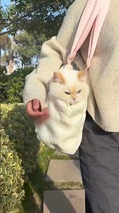 Best Cat Carrier Bag for Walking! Hello Kitty Puffer Bag Review