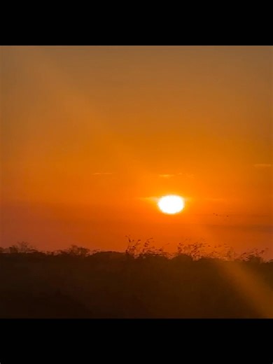 Matthew Clarke on Reels