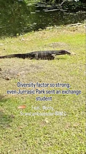 Jay | Monty , the monitor lizard !! IIM C . . . . . . . . . . #iimc #iimcalcutta #iimabc #mba #catpreparation #catexam #iim #lizard | Instagram