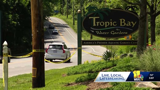 Car fire extinguished, human remains found