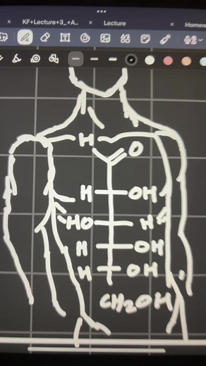 How do I explain to non-stem people that a molecule is a hear me out?? #stem #chemistry #organicchemistry #study #collegelife