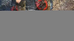 Presos hicieron un túnel para escapar, pero hubo un error de cálculo: iban al sector de los perros policía